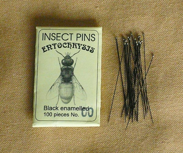 Entochrysis Black Mounting Insect Pins 100 Pcs Size 00 Entomology Insects Ebay